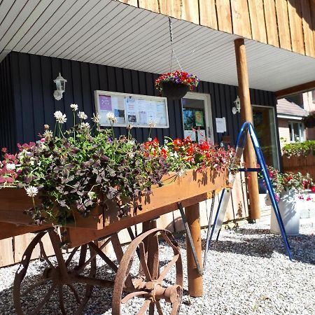 Bollingso Camping Engesvang Exterior foto